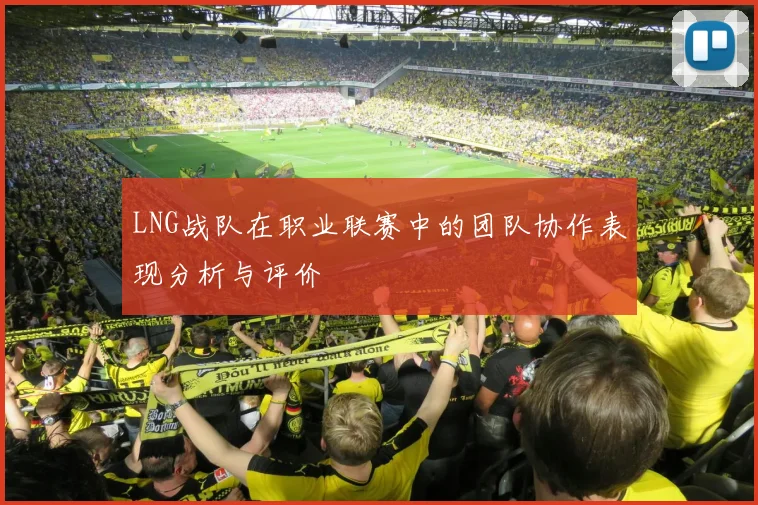 LNG战队在职业联赛中的团队协作表现分析与评价