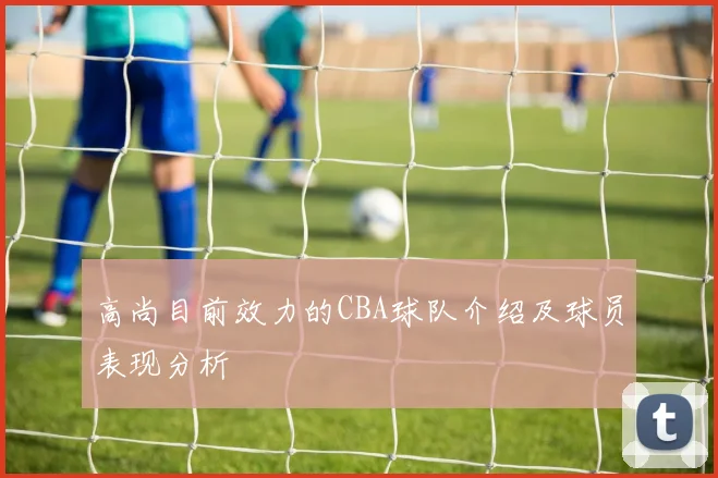 高尚目前效力的CBA球队介绍及球员表现分析