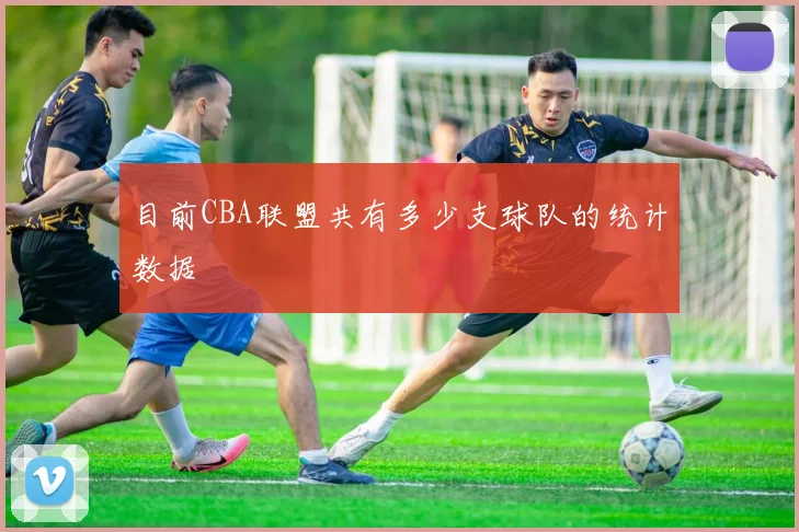 目前CBA联盟共有多少支球队的统计数据